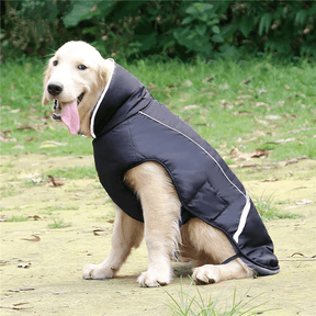 Colete Inverno Impermeável - Duty™