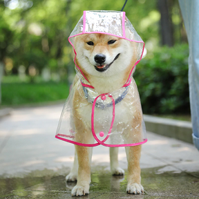 Capa de Chuva Pet - Barkify™