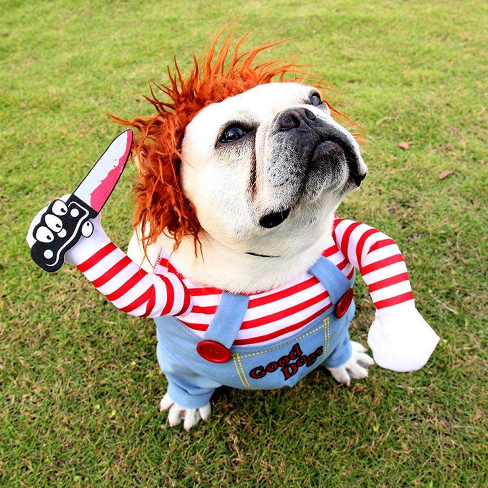 Fantasia Chucky Para Cachorro e Gatos - Duty™
