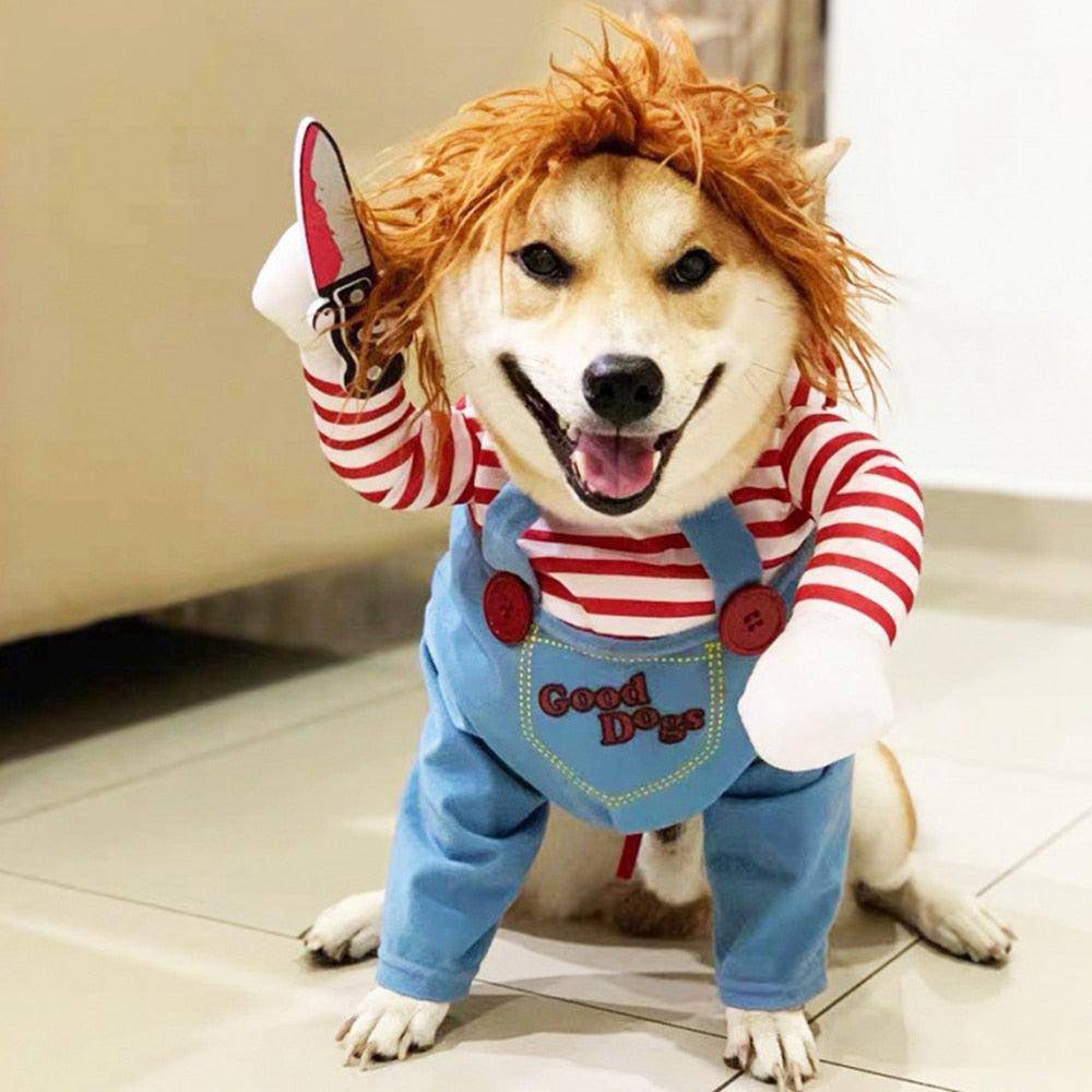 Fantasia Chucky Para Cachorro e Gatos - Duty™