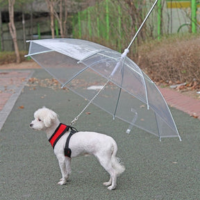 Guia com Guarda-chuva Tour - Barkify™