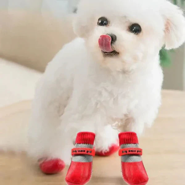 Meias à Prova d’Água para Passeios com Cães