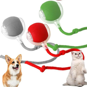 Bolinha Interativa Automática Sensor - Furrish™