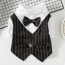Roupa Estilo Terno Elegante Para Pet - Barkify™