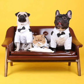 Roupa Estilo Terno Elegante Para Pet - Barkify™